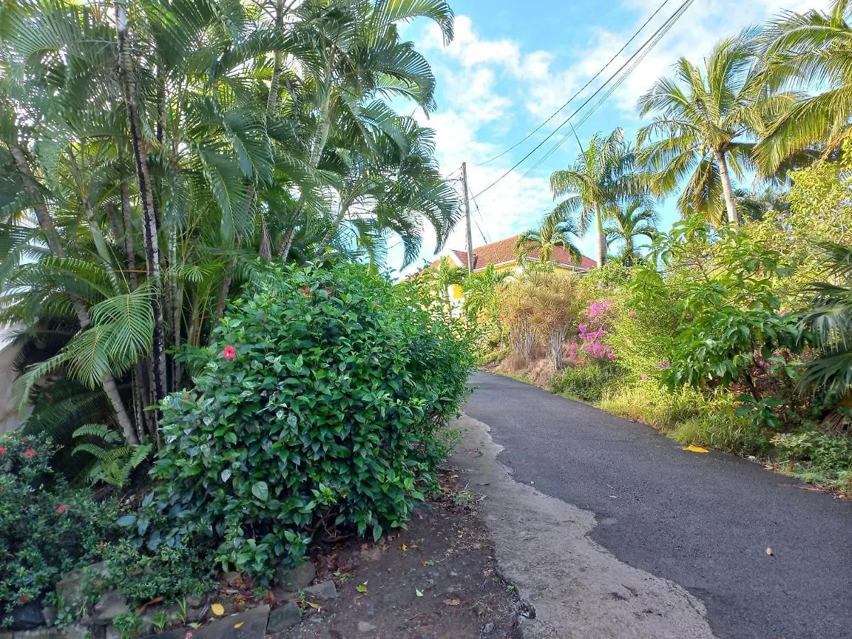 Apartment By The Beach Castries Santa Lucia