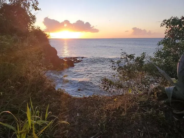 Apartment By The Beach Castries
